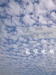 花呗逾期同城打电话 花呗逾期同城打电话
