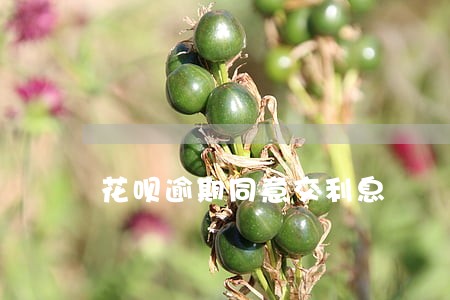 花呗逾期同意交利息 花呗逾期同意交利息