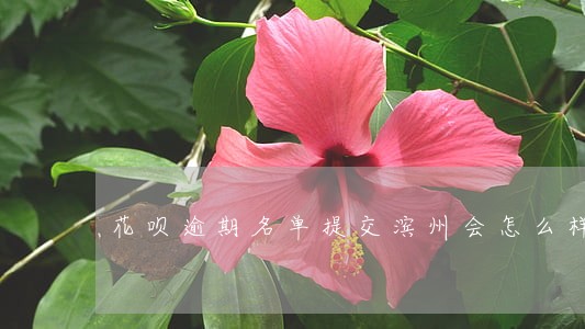 花呗逾期名单提交滨州会怎么样
