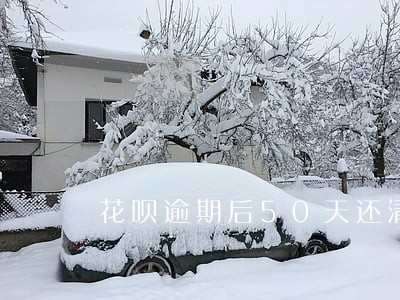 花呗逾期后50天还清多久恢复 花呗逾期后50天还清多久恢复