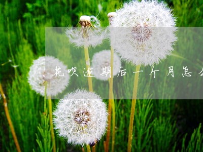 花呗逾期后一个月怎么办 花呗逾期后一个月怎么办