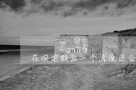花呗逾期后一个月没还会怎么样