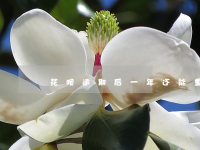 花呗逾期后一年还能重新开通 花呗逾期后一年还能重新开通