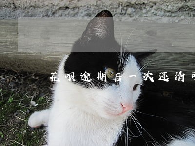花呗逾期后一次还清可以减免吗 花呗逾期后一次还清可以减免吗