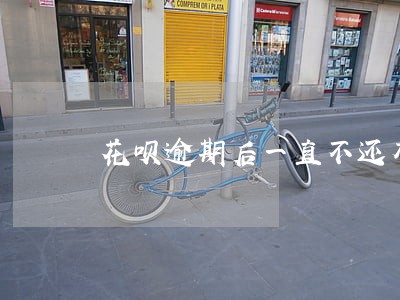 花呗逾期后一直不还有啥后果 花呗逾期后一直不还有啥后果