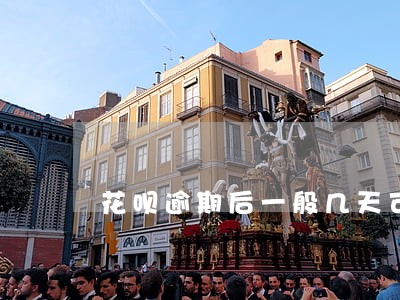 花呗逾期后一般几天可以恢复使用 花呗逾期后一般几天可以恢复使用