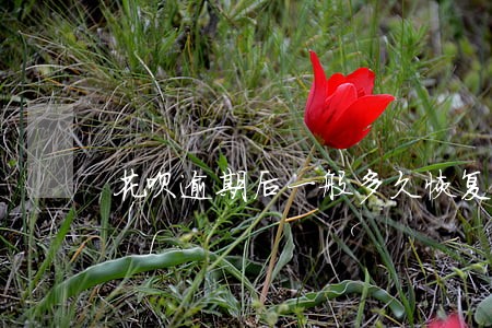花呗逾期后一般多久恢复使用 花呗逾期后一般多久恢复使用