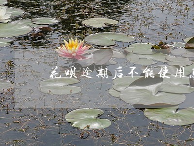 花呗逾期后不能使用怎么恢复 花呗逾期后不能使用怎么恢复