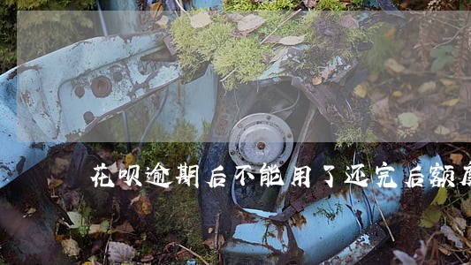 花呗逾期后不能用了还完后额度 花呗逾期后不能用了还完后额度