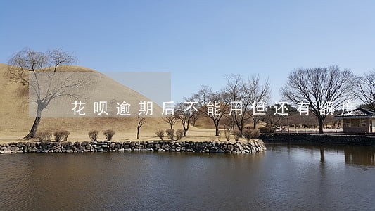 花呗逾期后不能用但还有额度 花呗逾期后不能用但还有额度