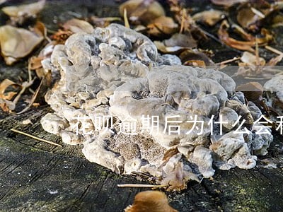花呗逾期后为什么会和亲戚打电话 花呗逾期后为什么会和亲戚打电话