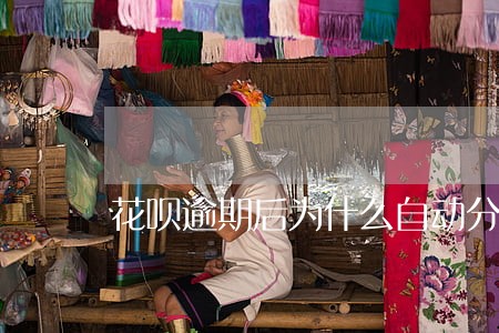 花呗逾期后为什么自动分期还款 花呗逾期后为什么自动分期还款