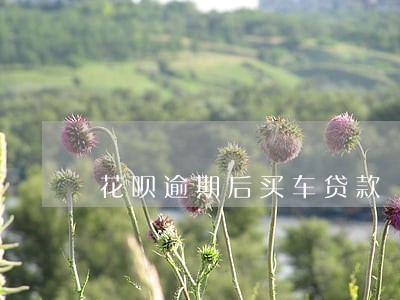 花呗逾期后买车贷款 花呗逾期后买车贷款