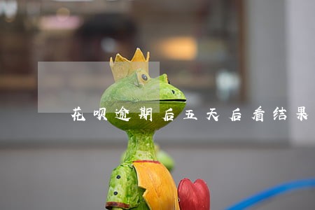 花呗逾期后五天后看结果