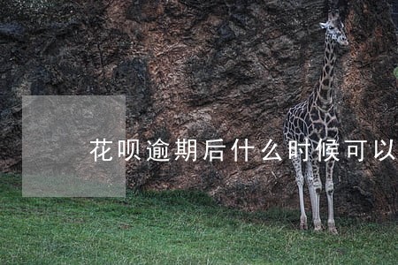 花呗逾期后什么时候可以恢复使用 花呗逾期后什么时候可以恢复使用