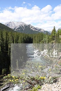 花呗逾期后从银行卡里代扣吗 花呗逾期后从银行卡里代扣吗