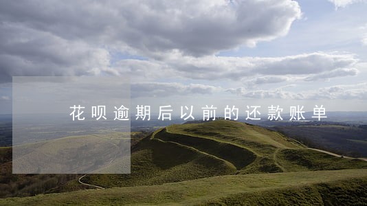 花呗逾期后以前的还款账单 花呗逾期后以前的还款账单