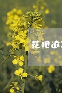 花呗逾期后以还清怎么开通 花呗逾期后以还清怎么开通
