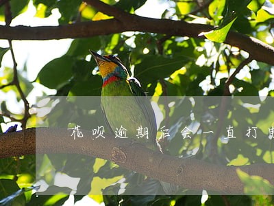 花呗逾期后会一直打电话催款吗 花呗逾期后会一直打电话催款吗