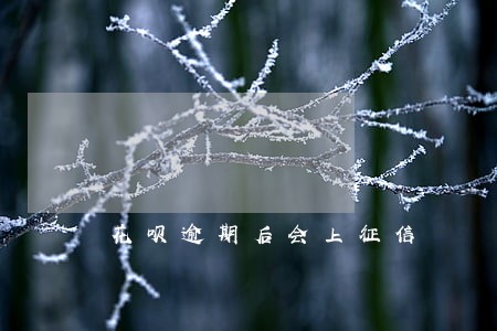 花呗逾期后会上征信 花呗逾期后会上征信