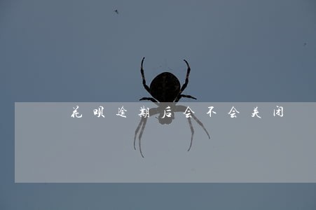 花呗逾期后会不会关闭 花呗逾期后会不会关闭