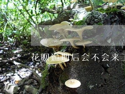 花呗逾期后会不会来工作单位 花呗逾期后会不会来工作单位
