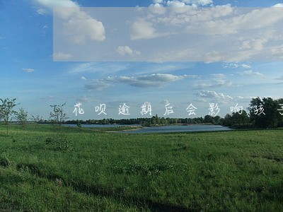 花呗逾期后会影响孩子上学吗 花呗逾期后会影响孩子上学吗