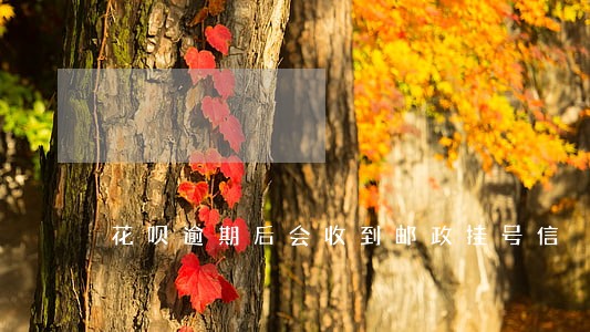 花呗逾期后会收到邮政挂号信 花呗逾期后会收到邮政挂号信