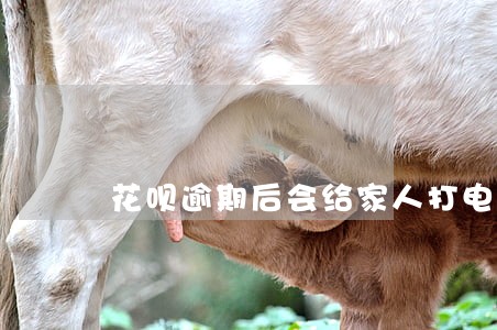花呗逾期后会给家人打电话吗