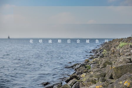 花呗逾期后会被告吗 花呗逾期后会被告吗