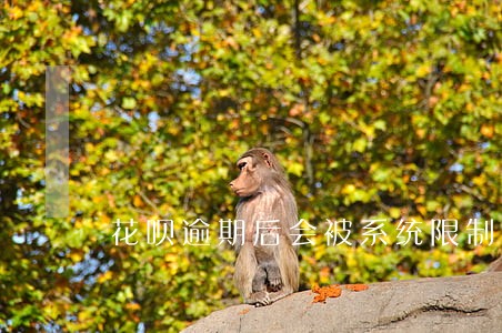 花呗逾期后会被系统限制图片 花呗逾期后会被系统限制图片