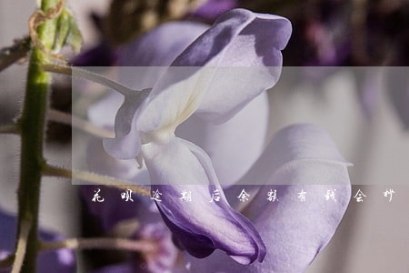 花呗逾期后余额有钱会秒扣 花呗逾期后余额有钱会秒扣