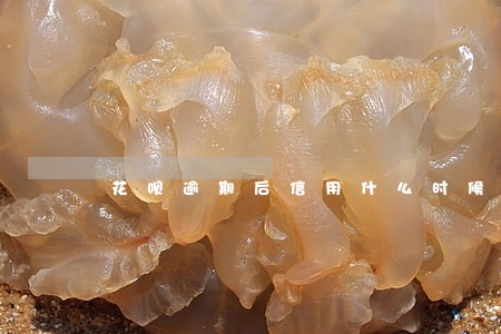 花呗逾期后信用什么时候可以再用 花呗逾期后信用什么时候可以再用