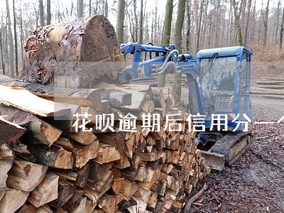 花呗逾期后信用分一个月涨一分 花呗逾期后信用分一个月涨一分