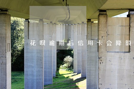 花呗逾期后信用卡会降额 花呗逾期后信用卡会降额