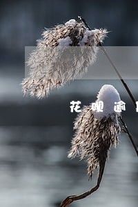 花呗逾期后信誉要怎么恢复 花呗逾期后信誉要怎么恢复