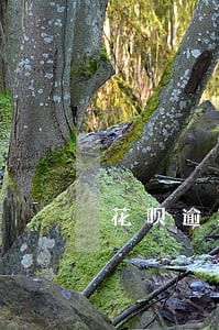 花呗逾期后催收公司会 花呗逾期后催收公司会