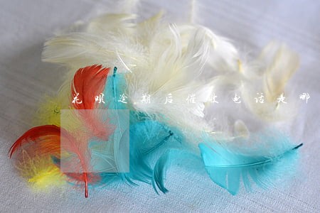 花呗逾期后催收电话是哪的
