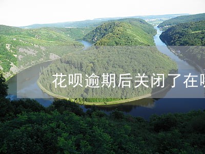 花呗逾期后关闭了在哪里还 花呗逾期后关闭了在哪里还