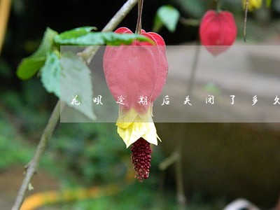 花呗逾期后关闭了多久能开通 花呗逾期后关闭了多久能开通