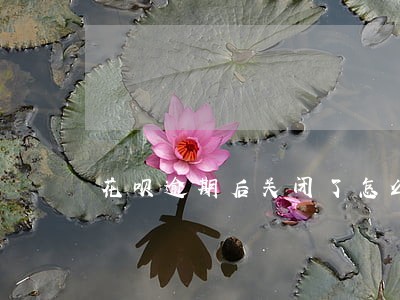 花呗逾期后关闭了怎么开通