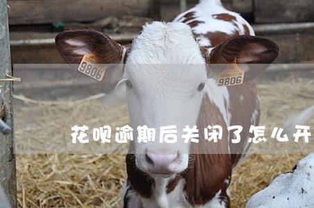 花呗逾期后关闭了怎么开通吗