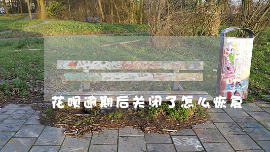 花呗逾期后关闭了怎么恢复 花呗逾期后关闭了怎么恢复