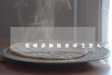 花呗逾期后关闭了怎么还呀 花呗逾期后关闭了怎么还呀