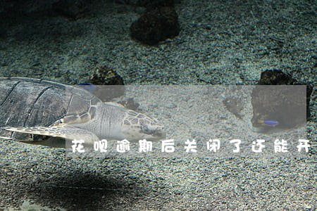 花呗逾期后关闭了还能开通吗 花呗逾期后关闭了还能开通吗