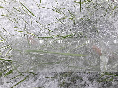 花呗逾期后关闭的花呗怎么还款 花呗逾期后关闭的花呗怎么还款