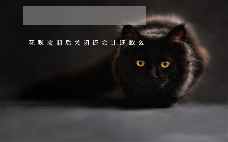 花呗逾期后关闭还会让还款么 花呗逾期后关闭还会让还款么