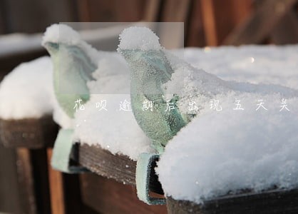 花呗逾期后出现五天关注使用情况 花呗逾期后出现五天关注使用情况