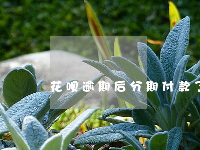 花呗逾期后分期付款了 花呗逾期后分期付款了