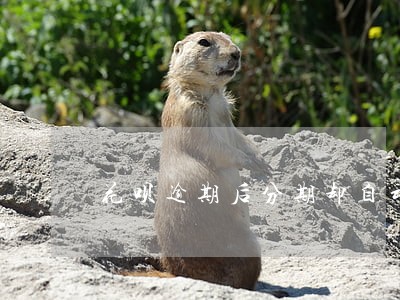 花呗逾期后分期却自动扣钱 花呗逾期后分期却自动扣钱